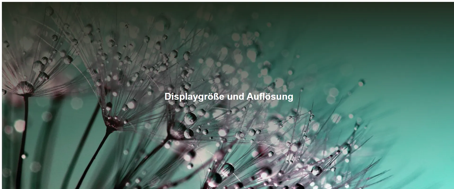 Displaygröße und Auflösung